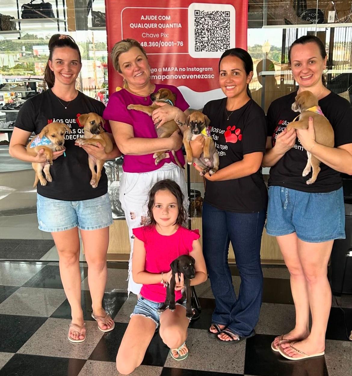 Caroline Pacheco busca aumentar participação feminina no Legislativo neoveneziano 1 Caroline Pacheco busca aumentar participação feminina no Legislativo neoveneziano