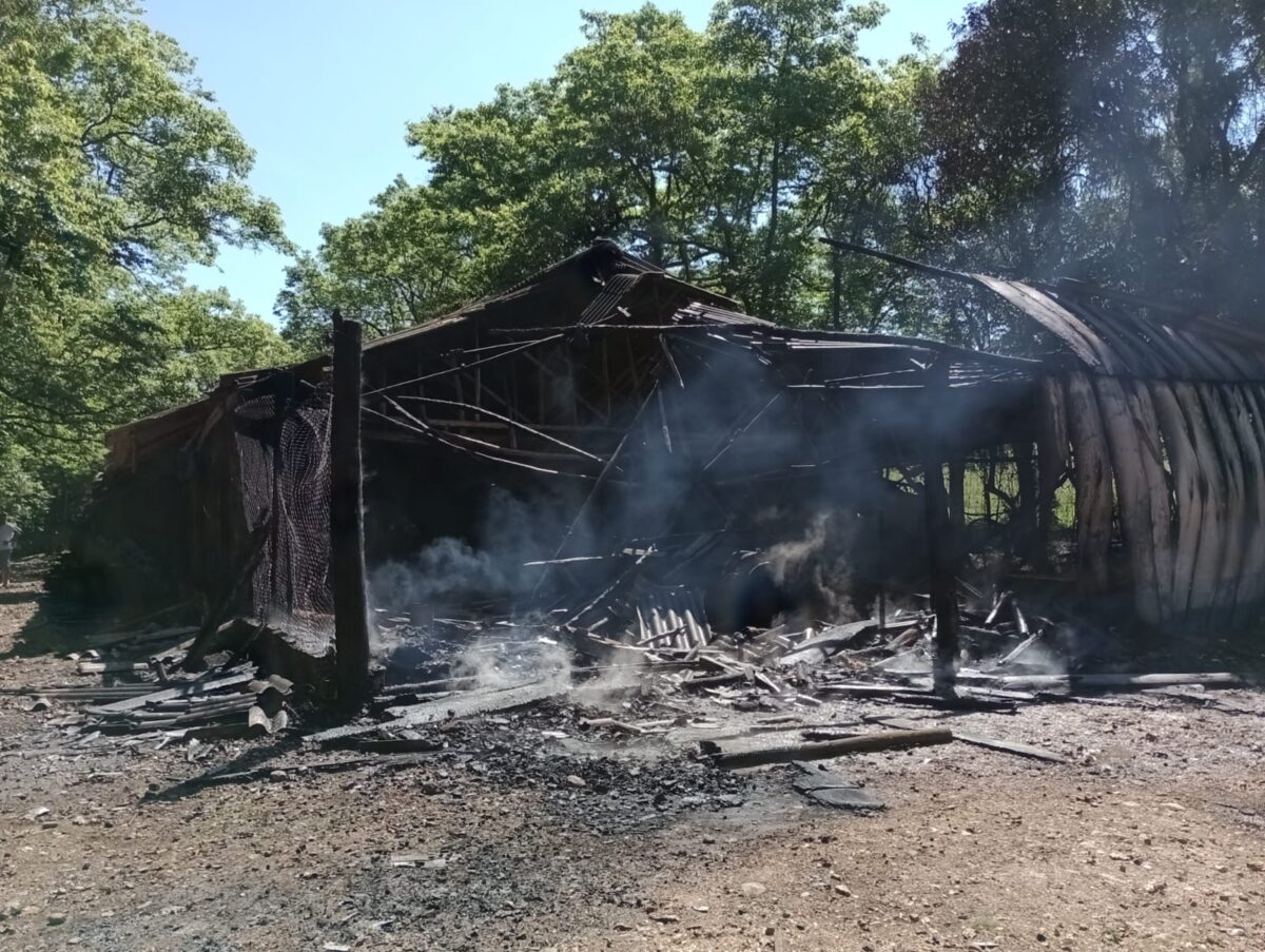 Corpo de Bombeiros é acionado para combater incêndio em aviário em Nova Veneza 2 Corpo de Bombeiros é acionado para combater incêndio em aviário em Nova Veneza